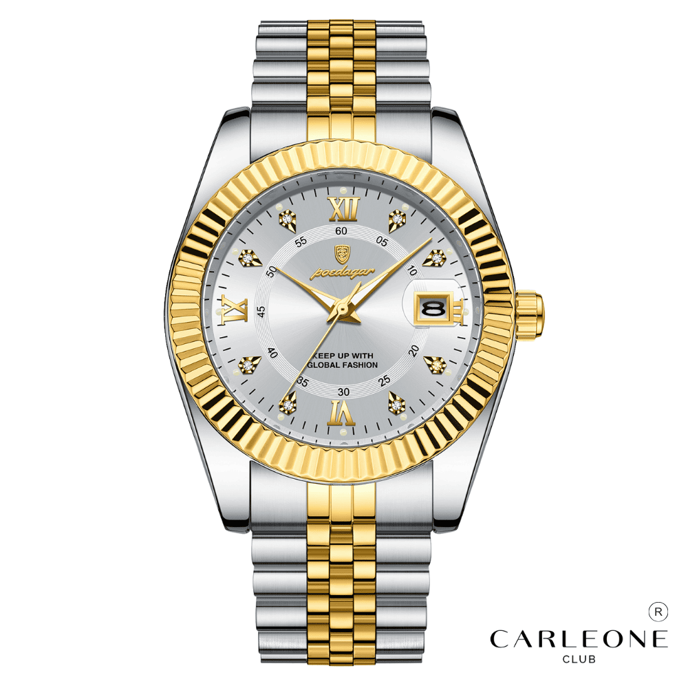 Montre Homme Poedagar Président en Acier Inoxydable Ronde